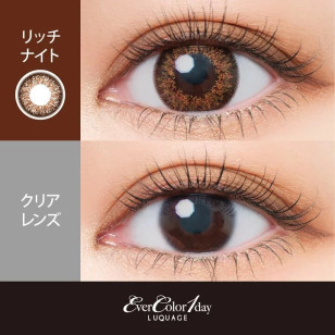 Ever Color 1day LUQUAGE 2選色 日拋 每盒30片